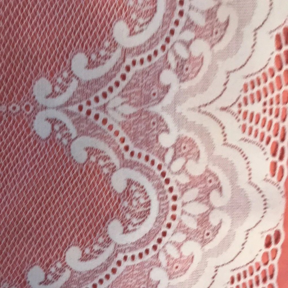 Curtain Sheer Lace Floral Curtain with Attached Valance (1-piece)